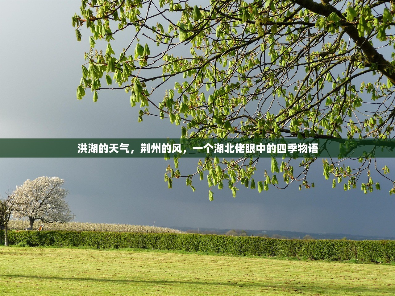洪湖的天气，荆州的风，一个湖北佬眼中的四季物语
