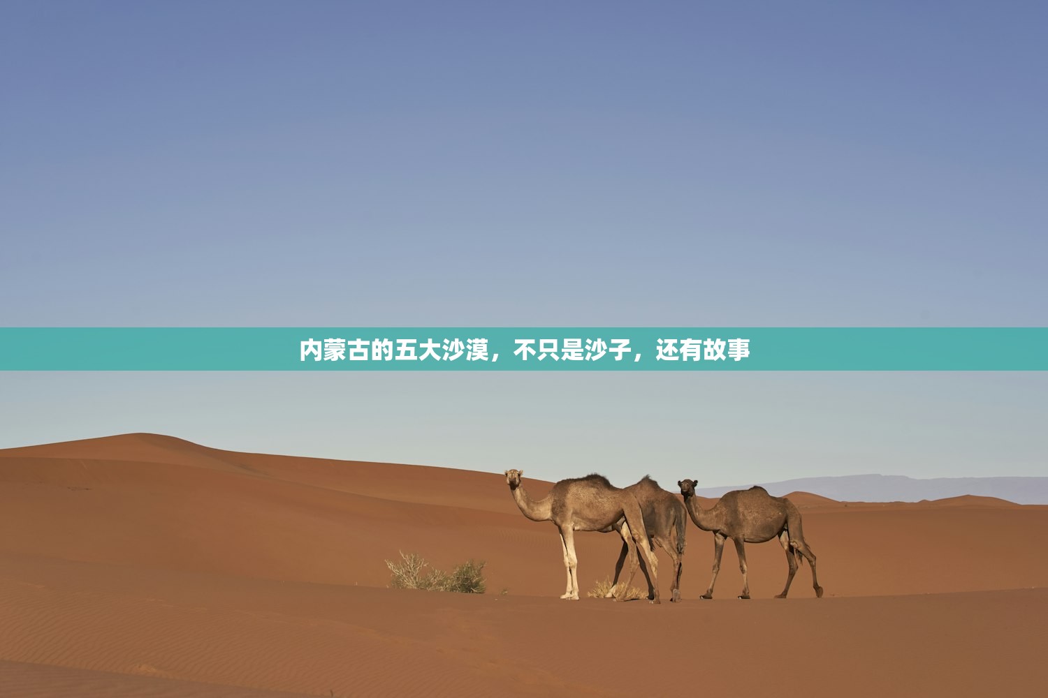 内蒙古的五大沙漠，不只是沙子，还有故事