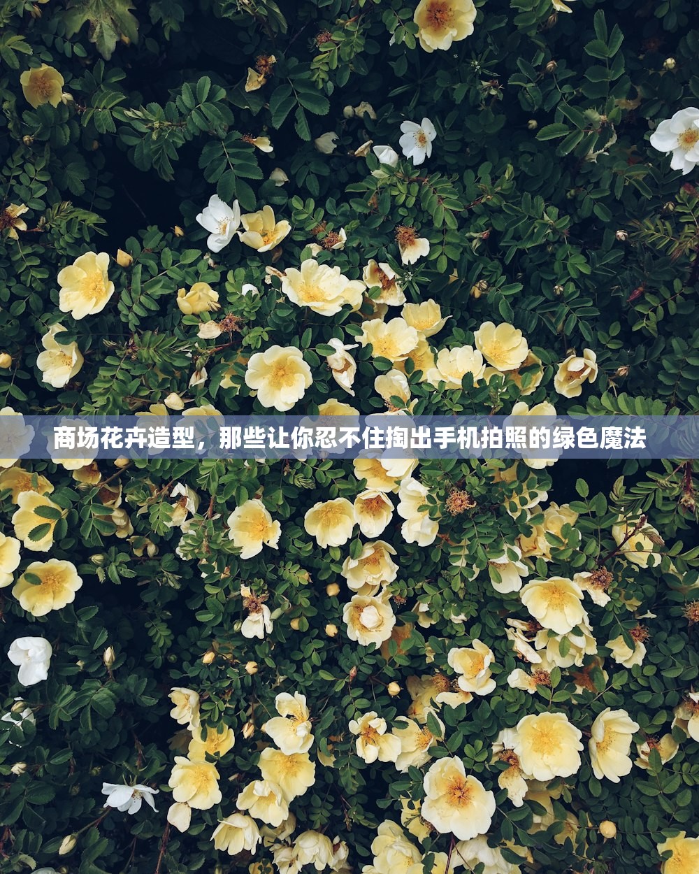 商场花卉造型，那些让你忍不住掏出手机拍照的绿色魔法