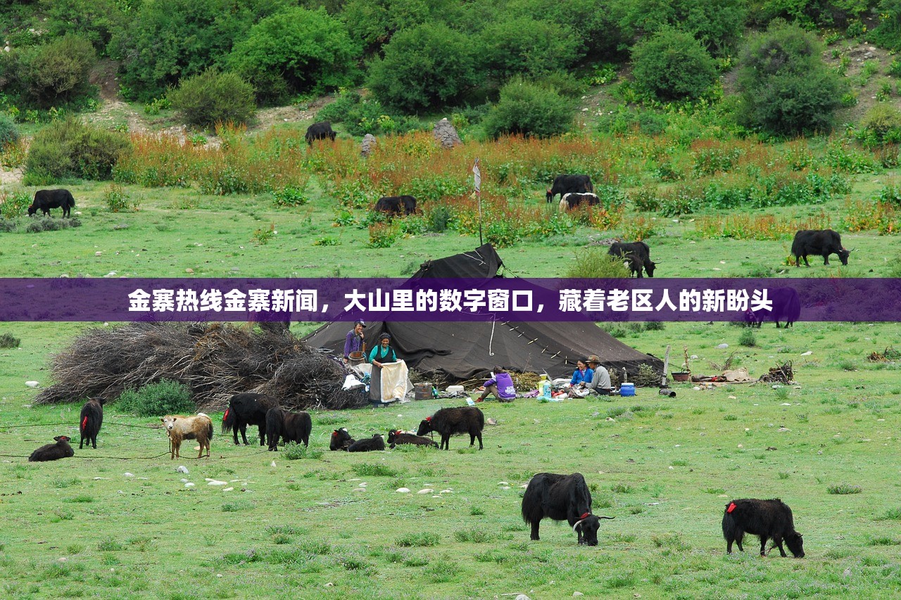 金寨热线金寨新闻,大山里的数字窗口,藏着老区人的新盼头 金寨热线金寨新闻,大山里的数字窗口,藏着老区人的新盼头