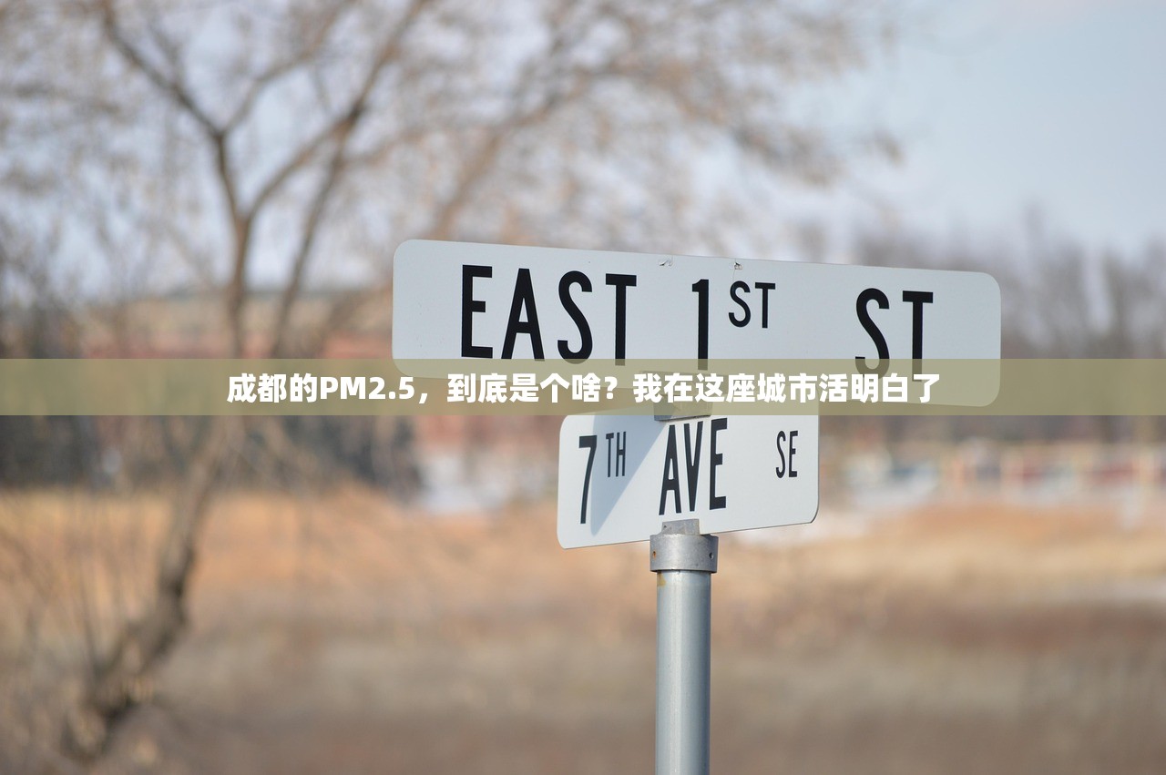 成都的PM2.5，到底是个啥？我在这座城市活明白了