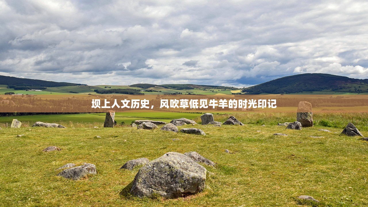 坝上人文历史，风吹草低见牛羊的时光印记