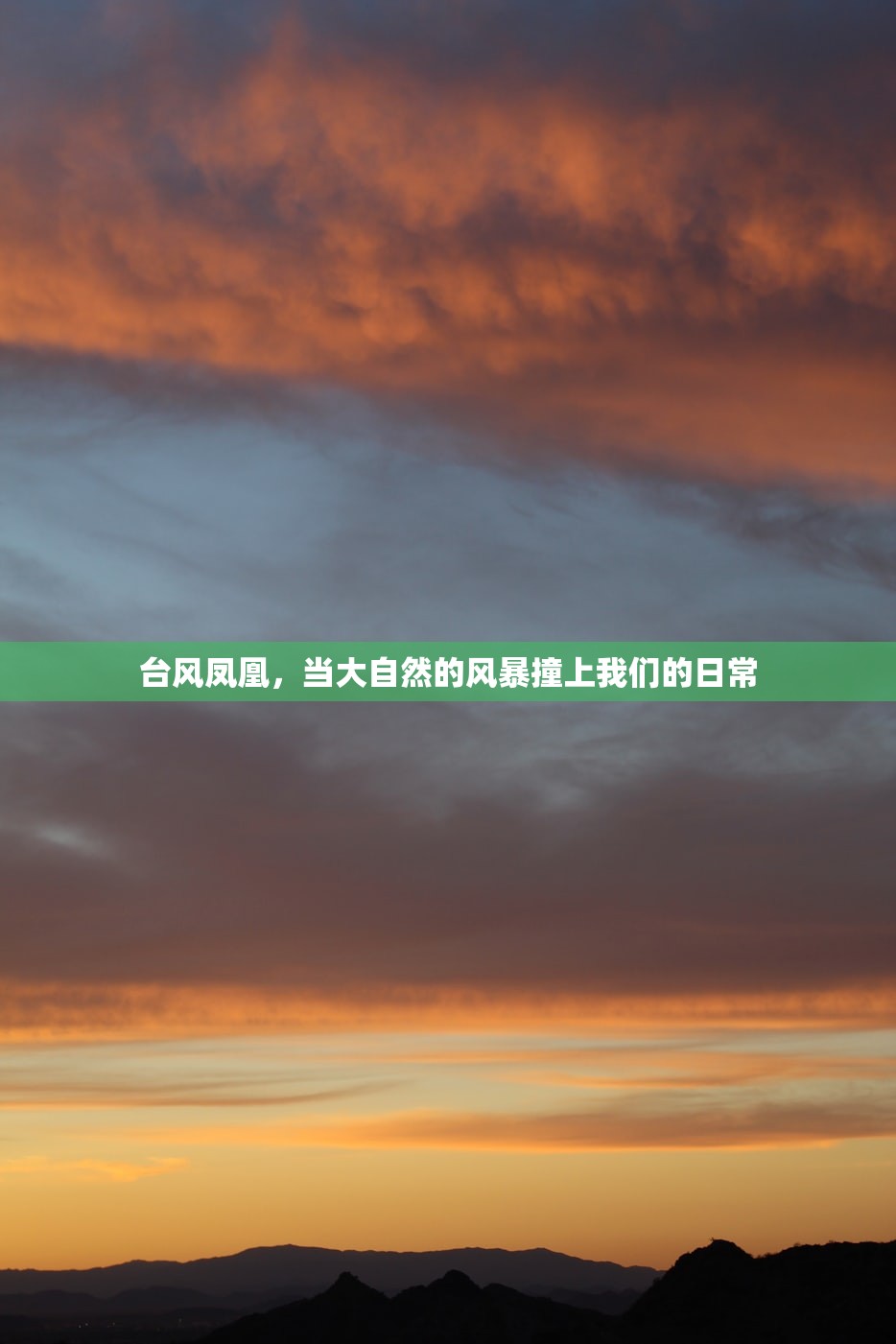 台风凤凰，当大自然的风暴撞上我们的日常