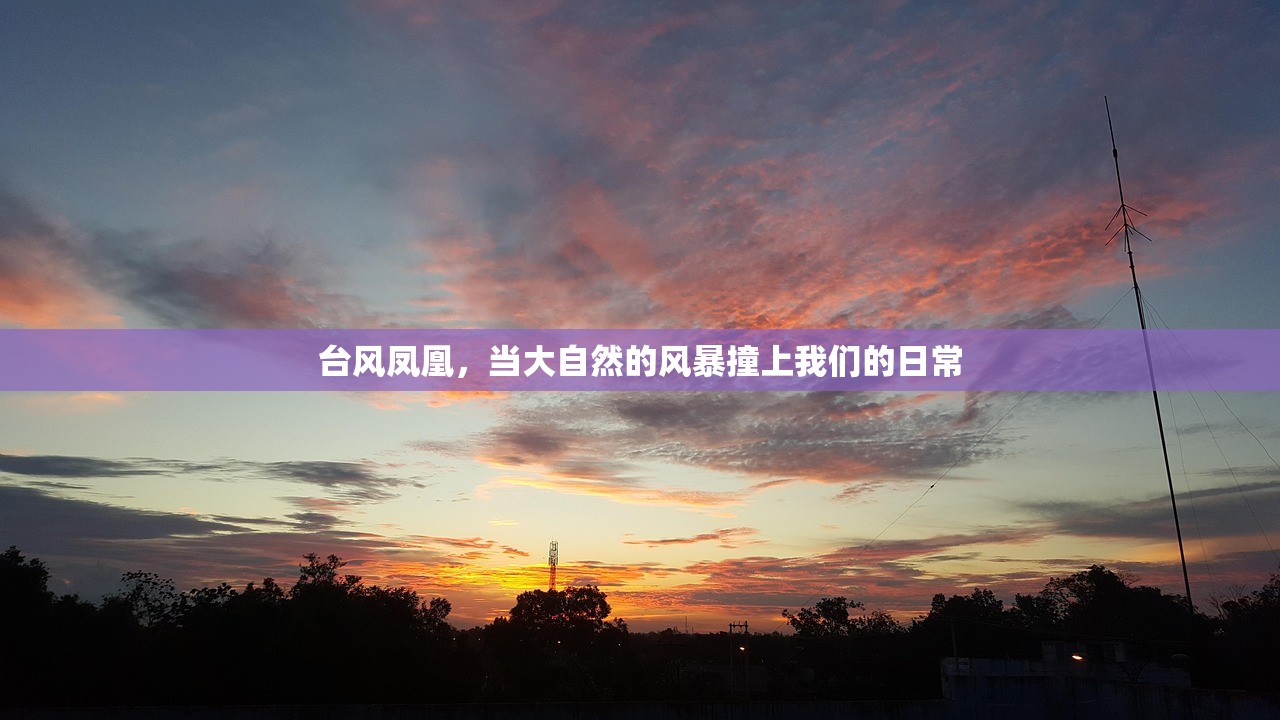 台风凤凰，当大自然的风暴撞上我们的日常