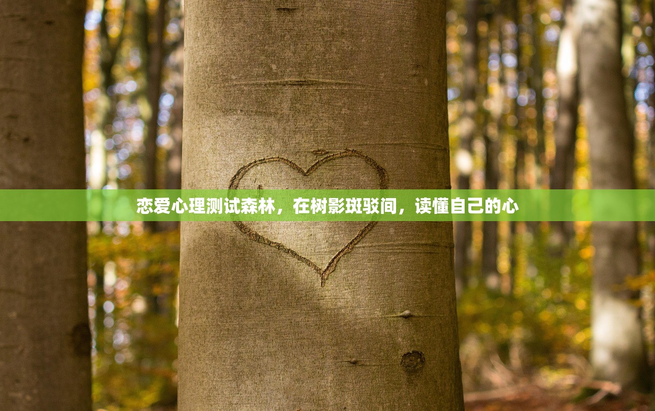 恋爱心理测试森林,在树影斑驳间,读懂自己的心 恋爱心理测试森林,在树影斑驳间,读懂自己的心